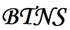 www.btns.pl